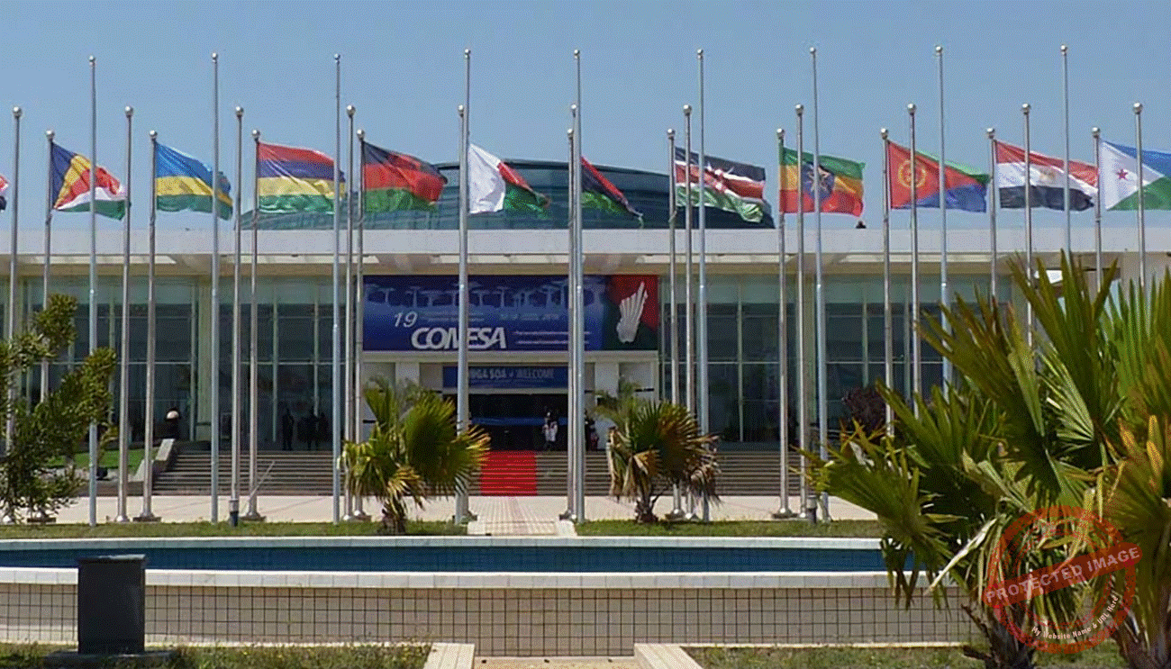 South Sudan tipped to join economic bloc COMESA