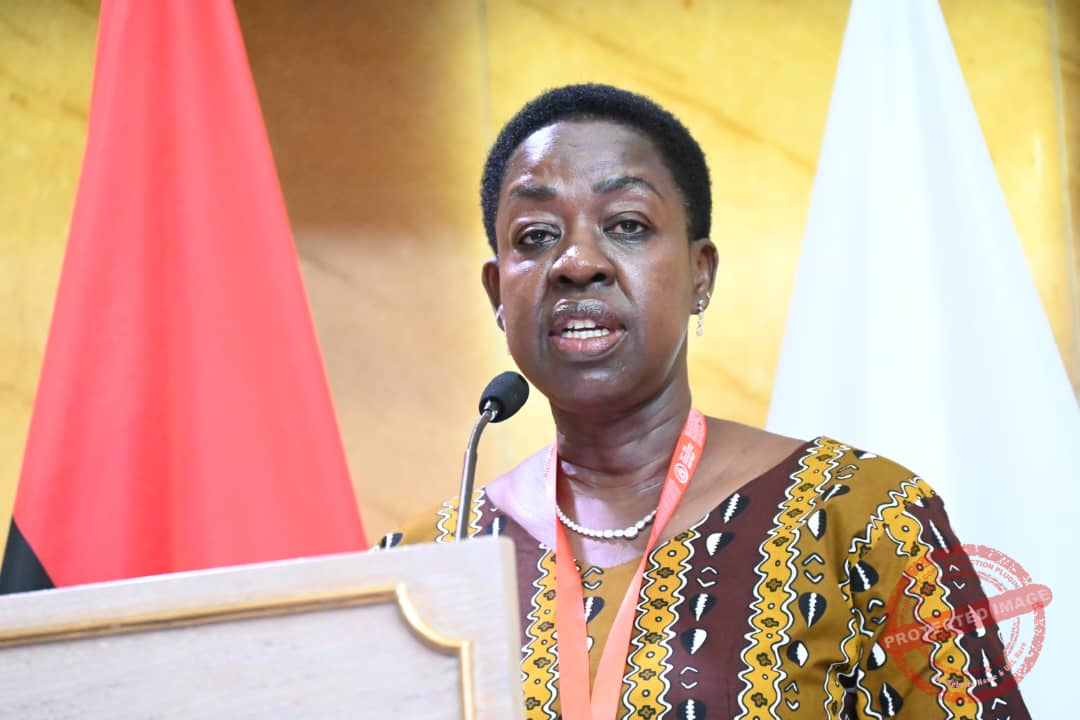 Speaker Nunu declares short recess for MPs
