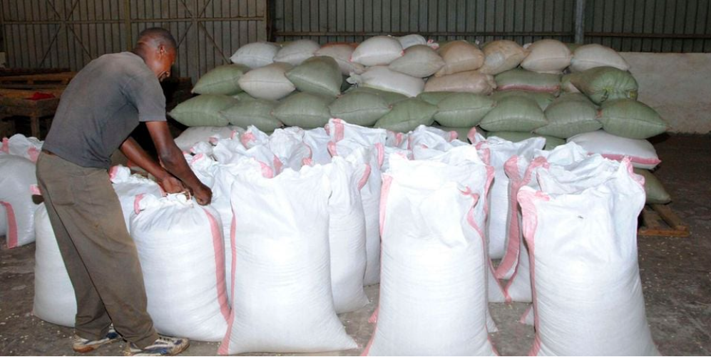 Kenya’s Ruto bans importation of maize, wheat