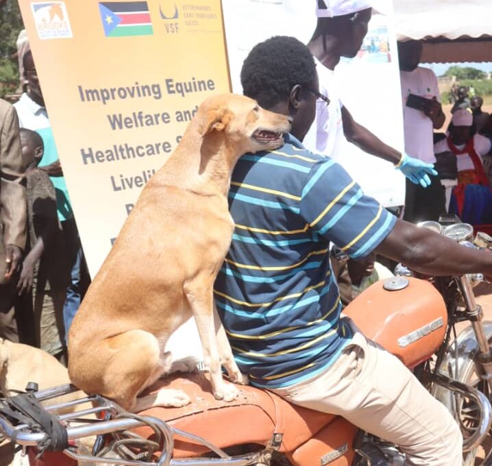 NBGs: Govt set for anti-rabies vaccination drive