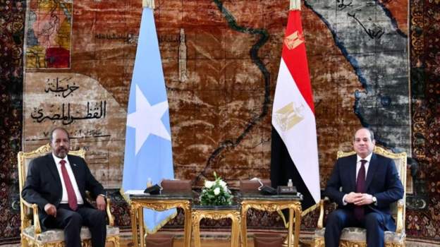 Sisi affirms Egypt’s support to Somalia after Ethiopia-Somaliland deal