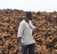 South Sudanese fish traders urged to heed export regulations