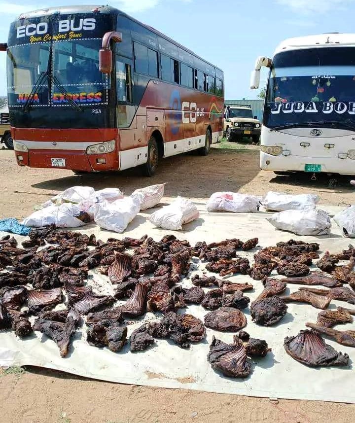 Wardens seize 15 bags of bushmeat, arrest 10 suspected poachers