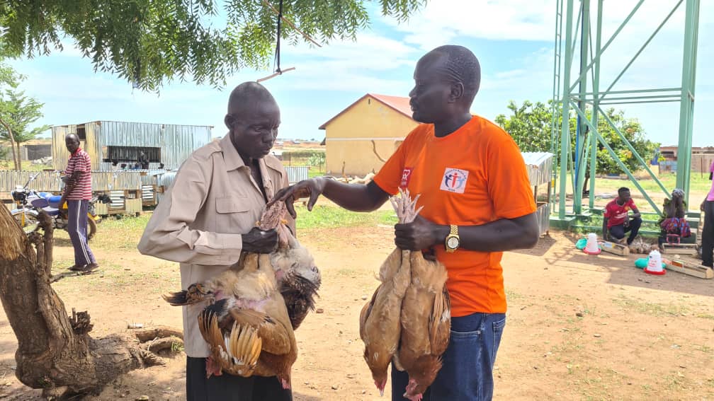 Dozens of lepers get chicken, goats to start farms