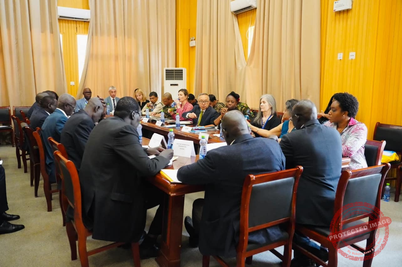 Govt, UNMISS discuss mutual issues, including increasing peacekeepers