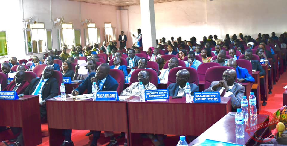 Upper Nile parliament goes on recess after passing budget