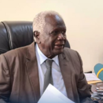 NEC Chairperson urges South Sudanese to vote, says it is their constitutional right