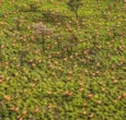 UNESCO decision looms on Badingilo migratory landscape heritage bid