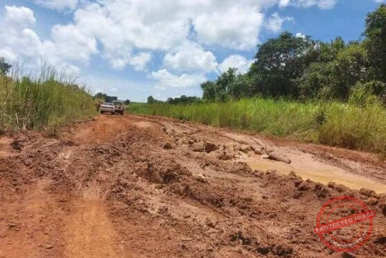Three civilians shot dead in separate attacks along Yei–Maridi road: official
