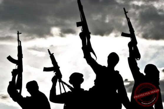 Nearly 50 killed, 33 wounded in deadly Tonj North cattle raid