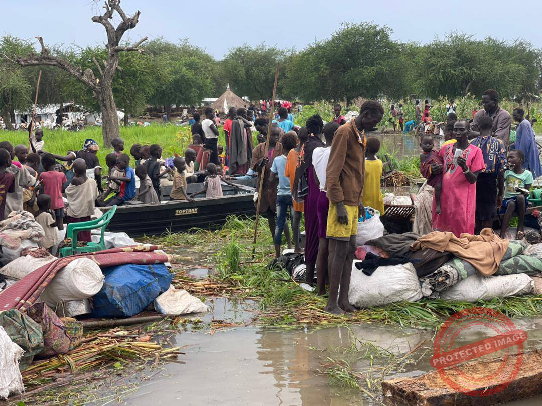 Over 1.3 million displaced by flood in S. Sudan-OCHA