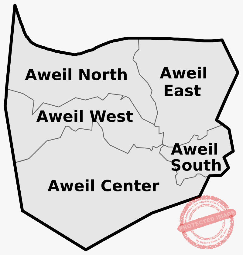 19 youth arrested in Aweil North over alleged criminal acts