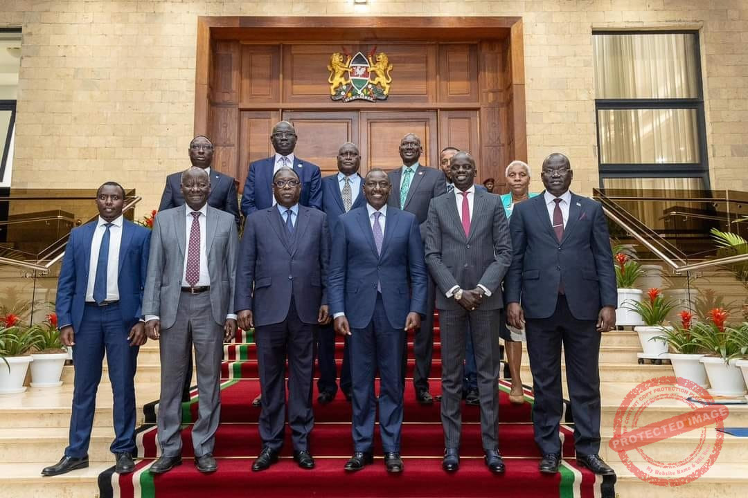 Unity govt high-level delegation meets Kenyan President