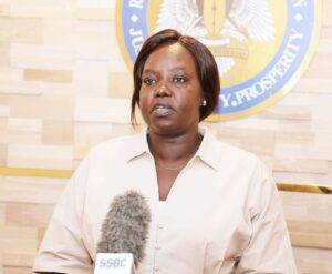 Deputy Speaker calls for action on arms flow following Abiemnhom incident