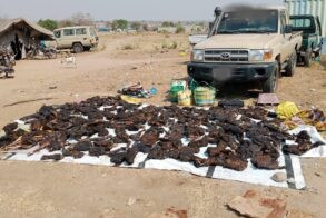 SSPDF soldiers arrested after bushmeat found concealed in ambulance – official