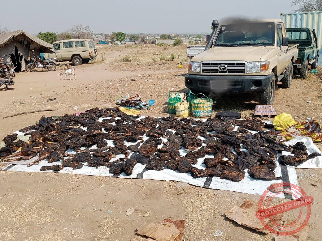 SSPDF soldiers arrested after bushmeat found concealed in ambulance – official