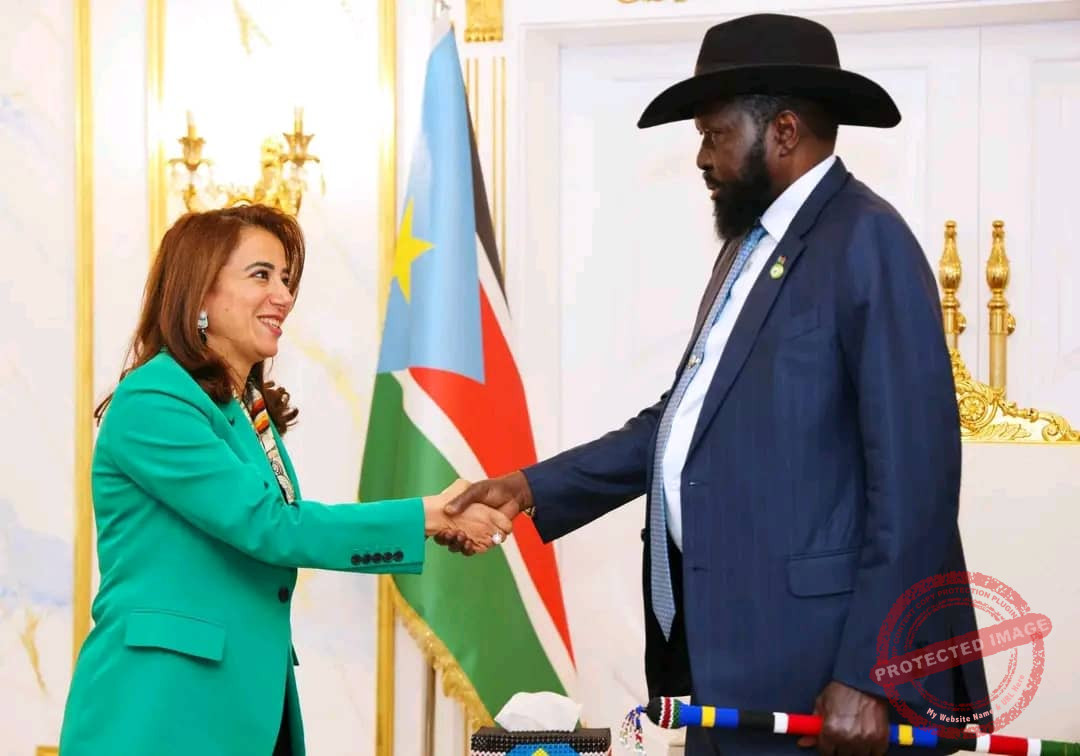 Egyptian vying for AUC deputy chairmanship rallies for Juba support