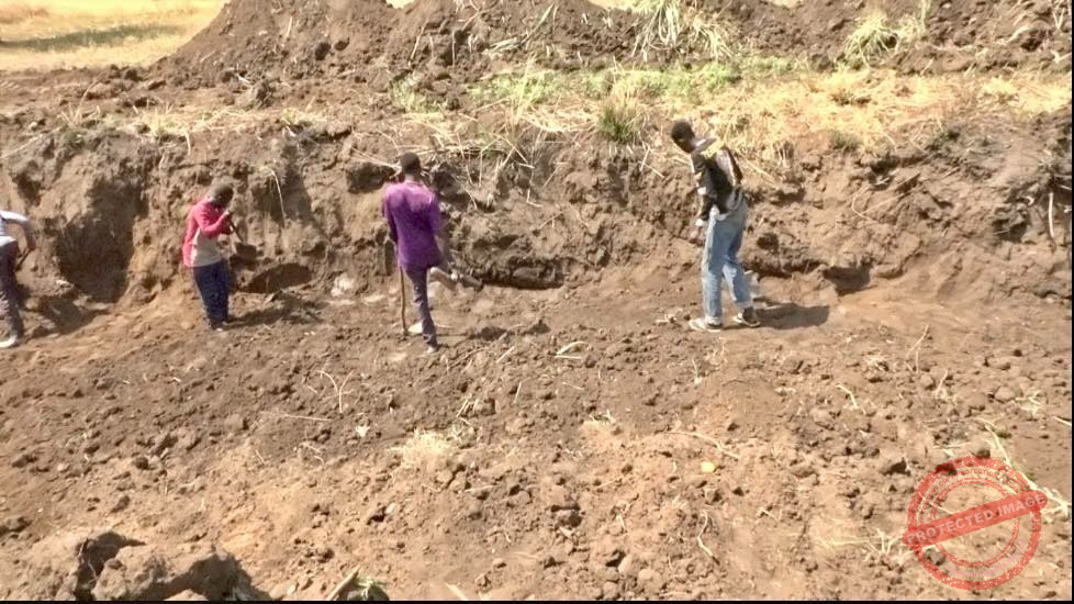Jezeera residents in Juba undertake mini-bridge construction