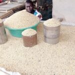 Abyei launches subsidized sorghum sales program to reduce rising food prices for households