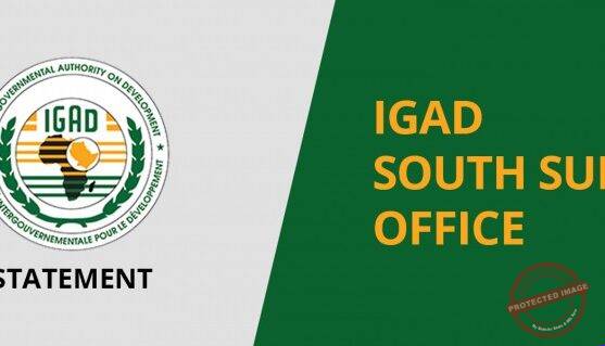 IGAD reaffirms support for S. Sudan’s peace process, election preparations