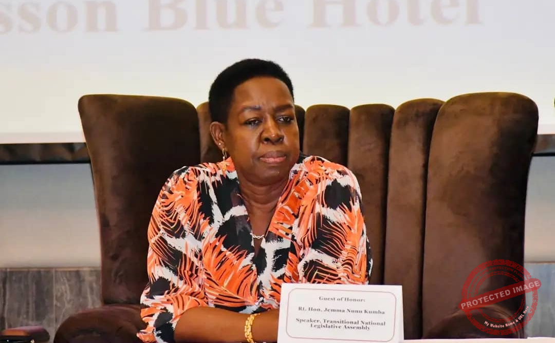 Jemma Nunu Kumba breaks silence after removal as Speaker