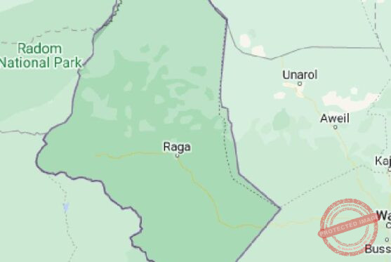 WBGs authorities propose special police Unit to secure Raja mining areas