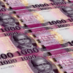 Economic Reform Committee reports increase in cash revenue collection