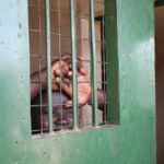 Justice served: Four sentenced to 14 years for Sherikat sexual assault case