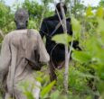 Warrap says calm restored in Tonj North after deadly attack