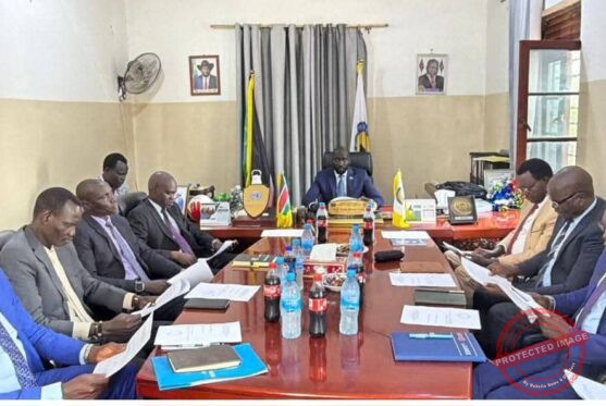 Greater Pibor to establish four farming schemes to support agriculture