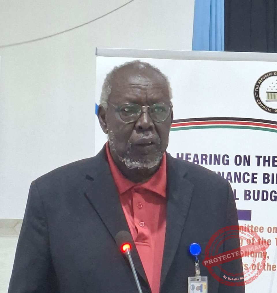 Budget Hearing: Dr. Lual Achuek proposes SSP 300 Billion youth investment to curb rebellion