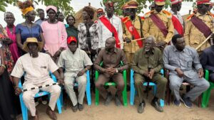 Jonglei–GPAA leaders report progress in Bichibich peace cconference