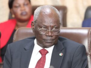 Makuei rejects Bol Mel petition, demands apology over “disrespectful Language”