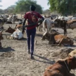 13 civilians killed, several injured in Tonj East attacks – official