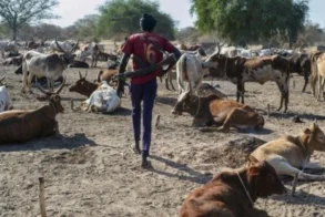 13 civilians killed, several injured in Tonj East attacks – official