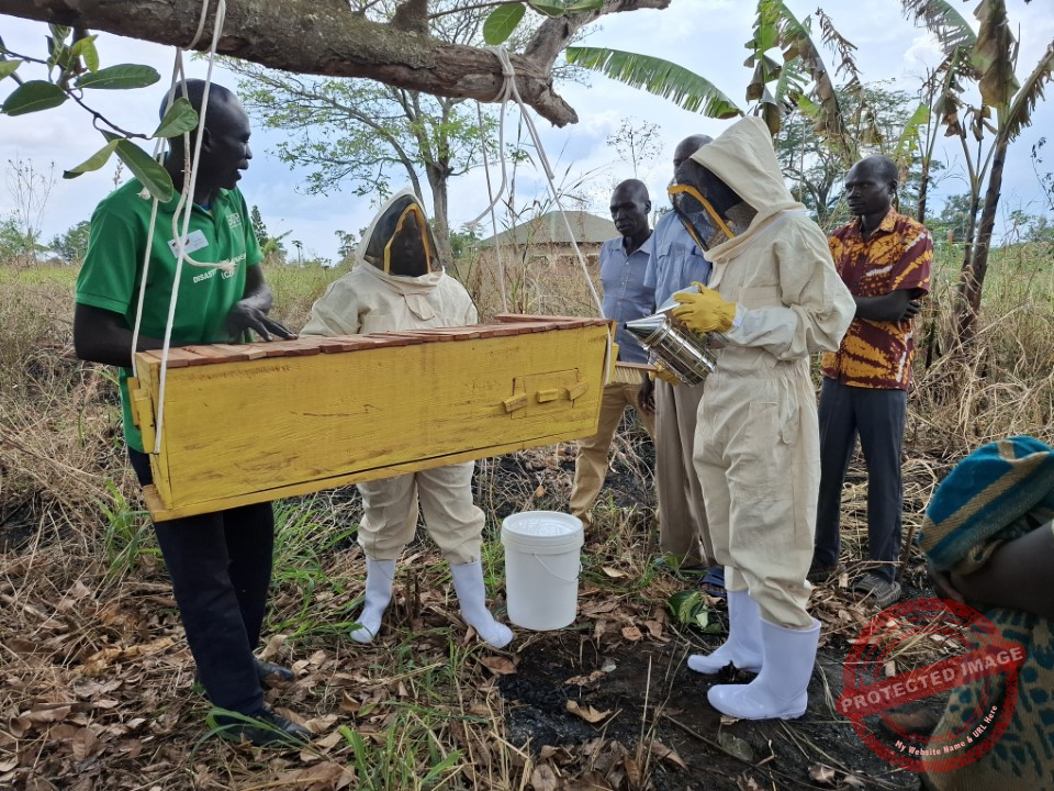 GIZ strengthens beekeeping business by providing modern beehives and training