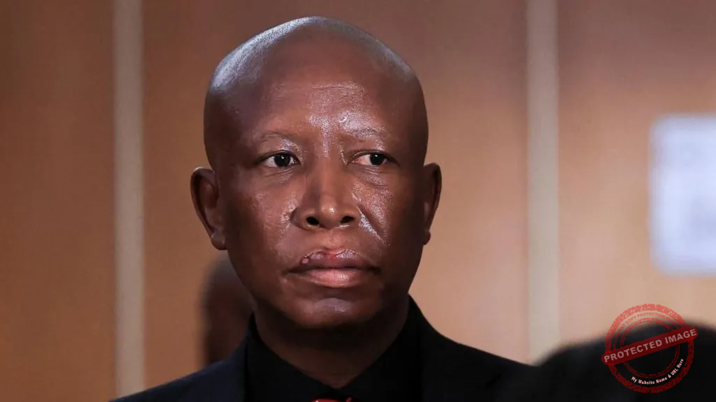 South African opposition figure Malema sentenced to five years for firing gun