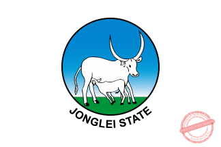 Jonglei warns officials to resume work or face replacement and salary cuts