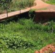 Kanjoro bridge construction set to begin in Yei River County
