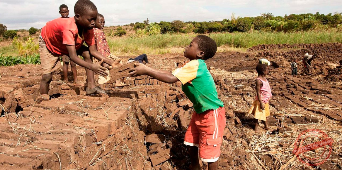 Child Labour Day: Poverty and weak law enforcement driving child labour – Adv. Godfrey