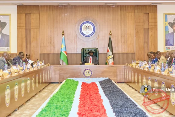 Cabinet refers deliberation on salary delays, liquidity pressures to economic cluster