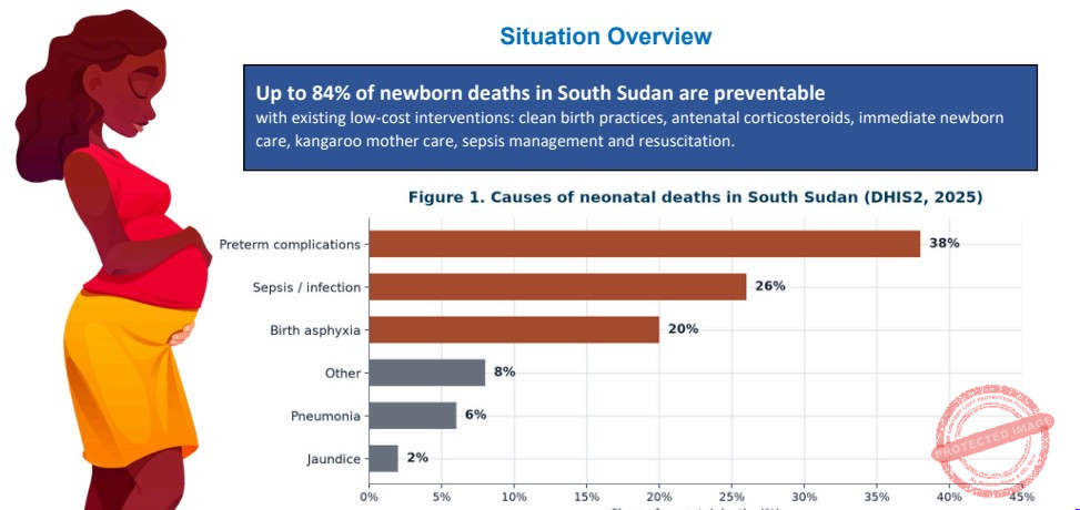 South Sudan records 35 newborn deaths per 1,000 live births -Report