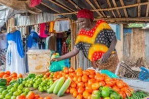 Shabaka Meisha assures beneficiaries outstanding payments will be cleared