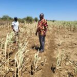 Hunger claims 3 lives in Eastern Equatoria as drought destroys crops