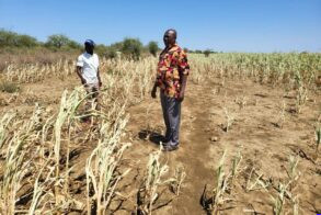 Hunger claims 3 lives in Eastern Equatoria as drought destroys crops