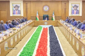 Cabinet approves 26.5 million US dollars to repatriate 20,000 South Sudanese from Egypt